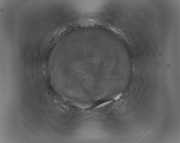 X0000072991445200608211504