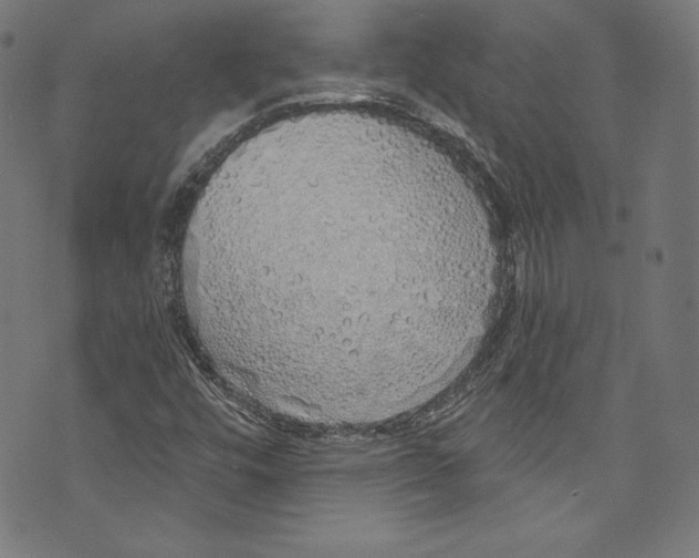 X0000072991448200608211504