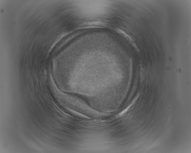 X0000072991449200608211504