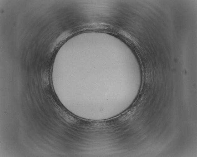 X0000072991451200608211504