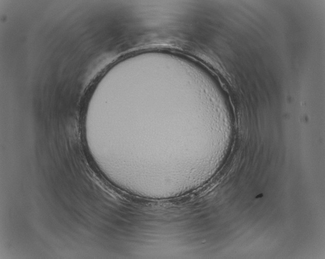 X0000072991452200608211504