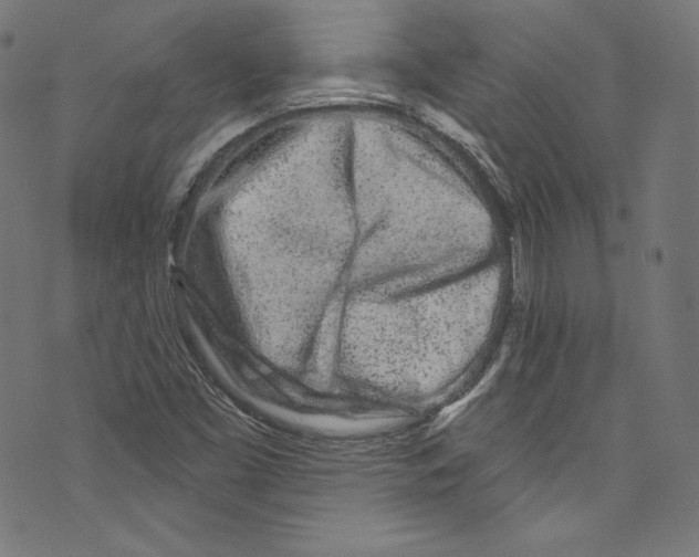 X0000072991453200608211504