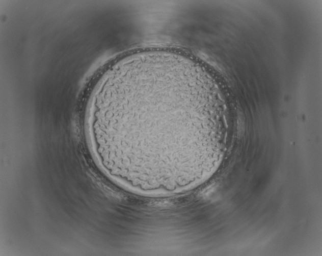 X0000072991454200608211504