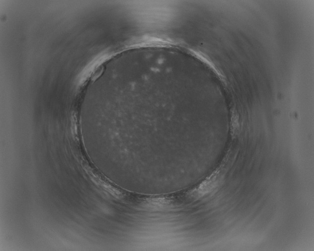 X0000072991455200608211504