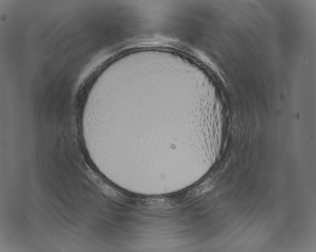 X0000072991456200608211504