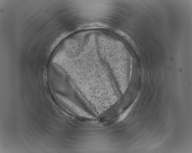 X0000072991457200608211504