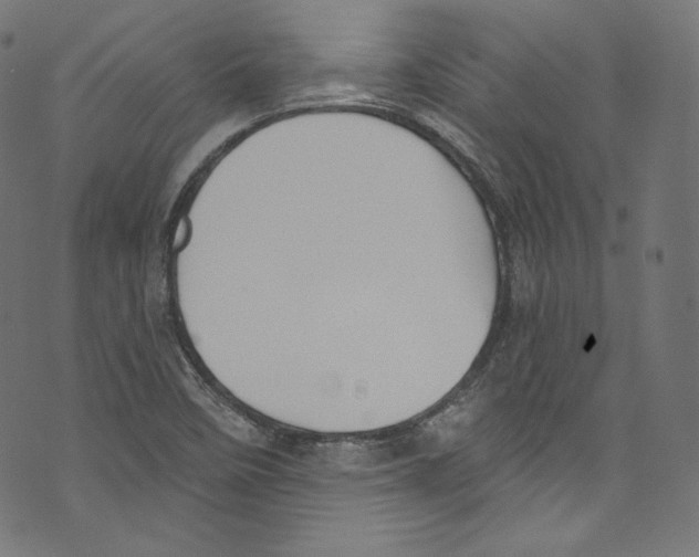 X0000072991458200608211503