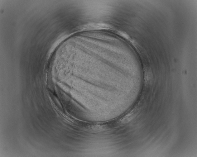 X0000072991459200608211503