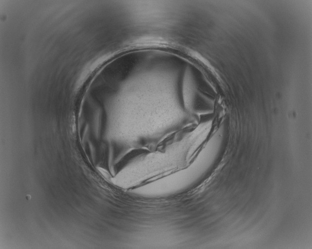 X0000072991461200608211503