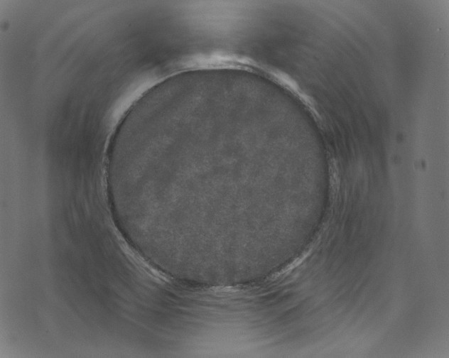 X0000072991463200608211503