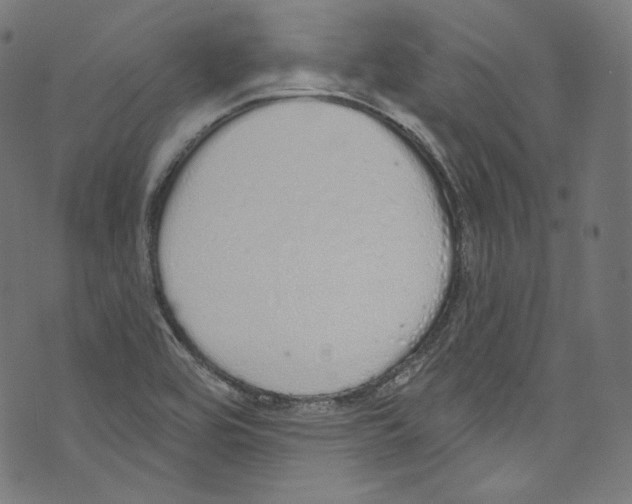 X0000072991464200608211503