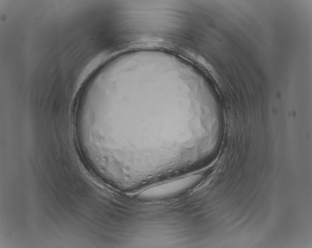 X0000072991467200608211503