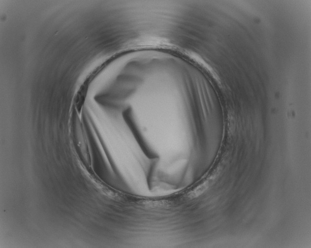 X0000072991469200608211503