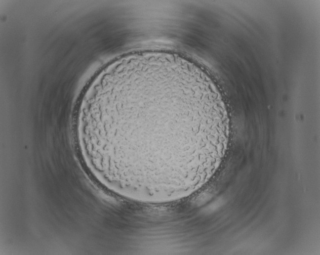 X0000072991470200608211503