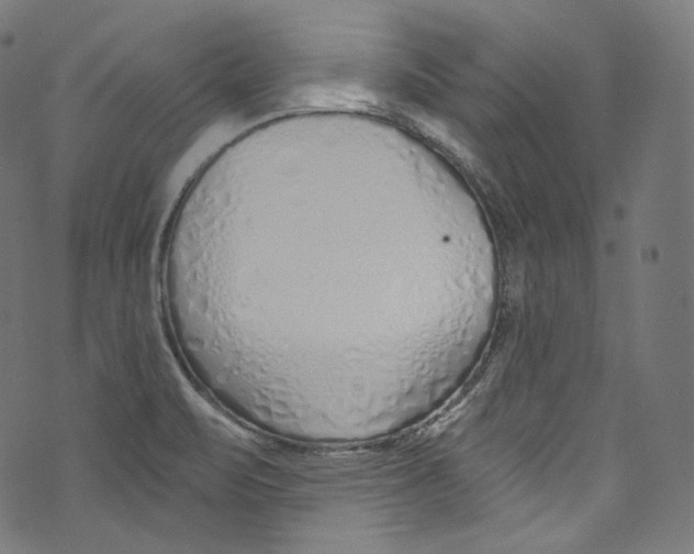 X0000072991471200608211503