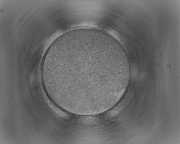 X0000072991474200608211503