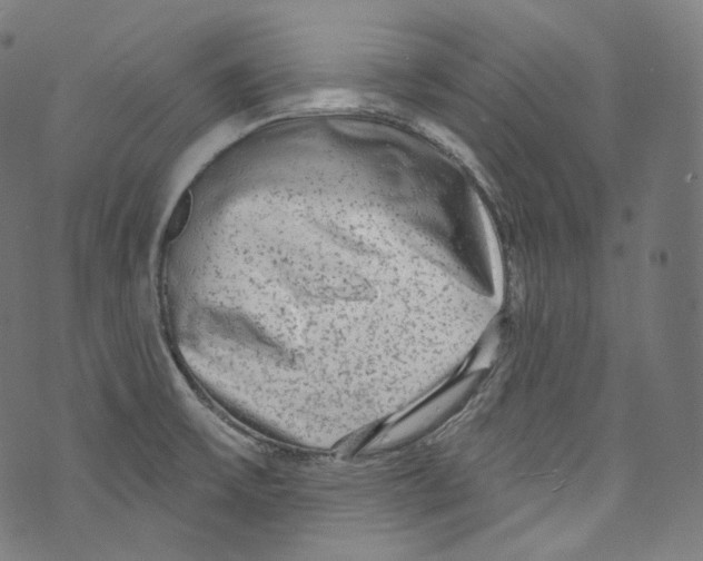 X0000072991475200608211503