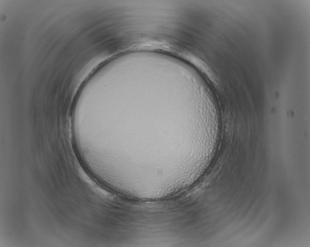 X0000072991476200608211503