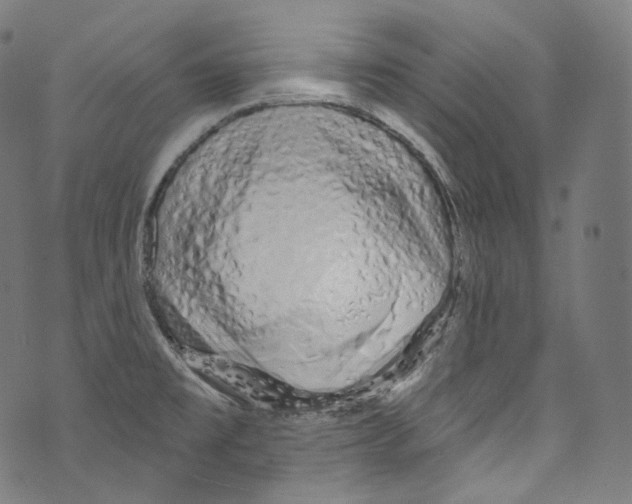 X0000072991477200608211503