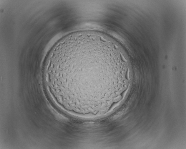 X0000072991478200608211503