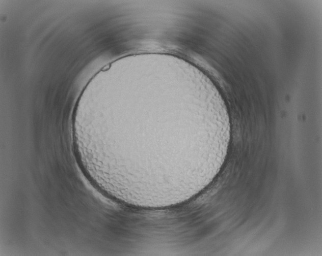 X0000072991479200608211503