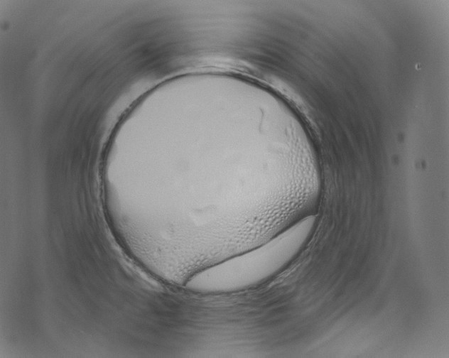 X0000072991480200608211503