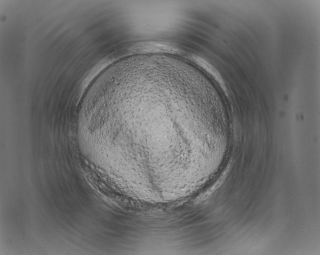 X0000072991481200608211503