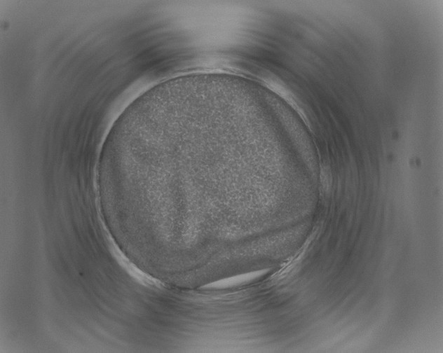 X0000072991482200608211503