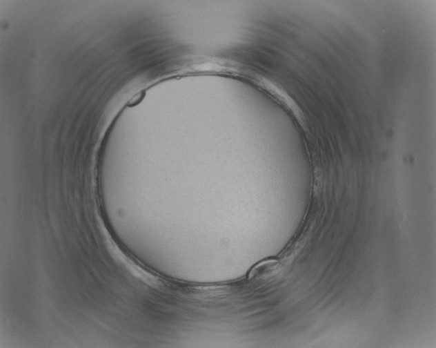 X0000072991483200608211503