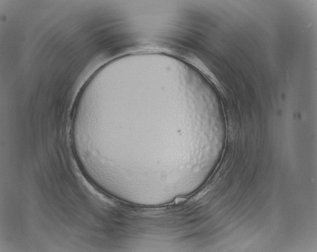 X0000072991484200608211503