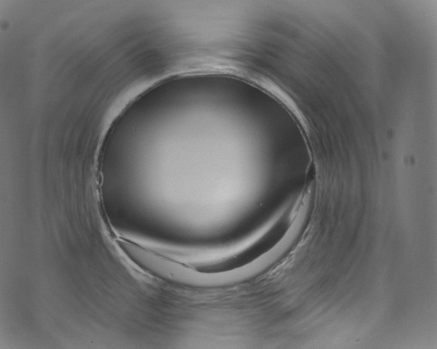 X0000072991485200608211503