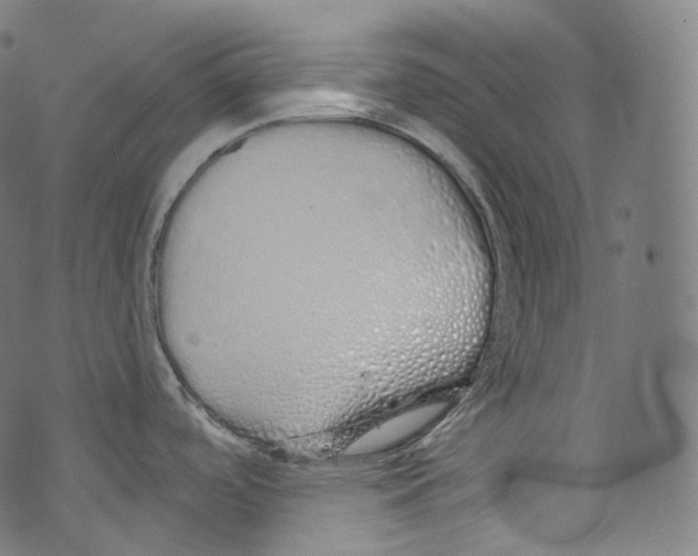 X0000072991488200608211503