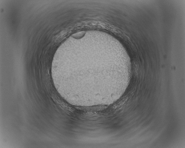 X0000072991489200608211502