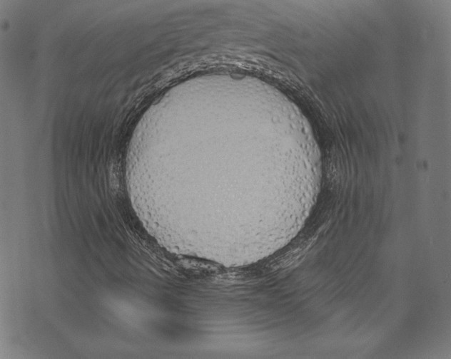 X0000072991490200608211502