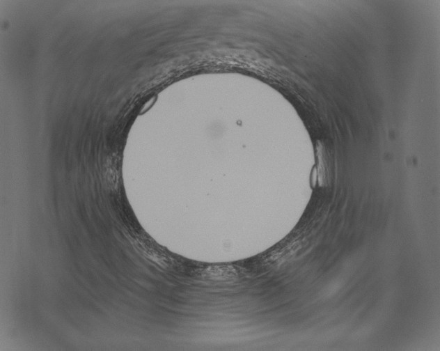 X0000072991491200608211502