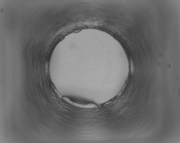 X0000072991492200608211502