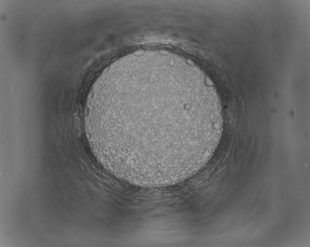 X0000072991493200608211502