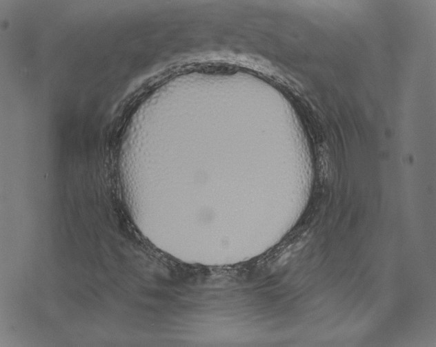 X0000072991494200608211502