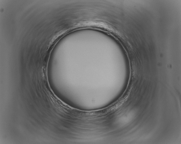 X0000072991497200608211502