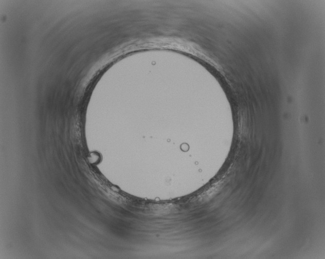 X0000072991498200608211502