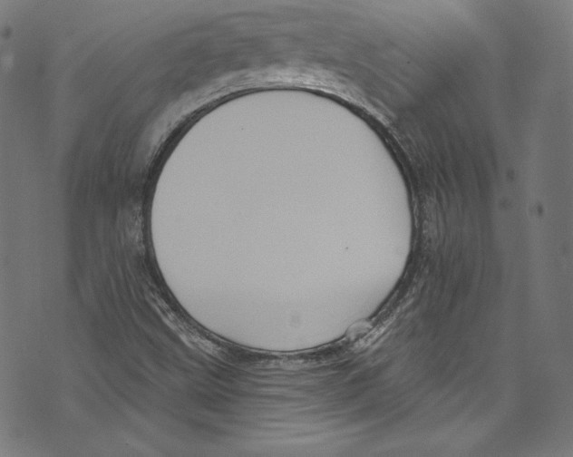 X0000072991499200608211502