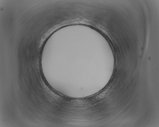 X0000072991500200608211502