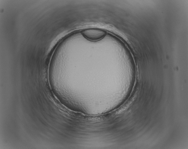 X0000072991501200608211502