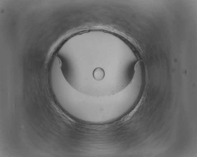 X0000072991502200608211502