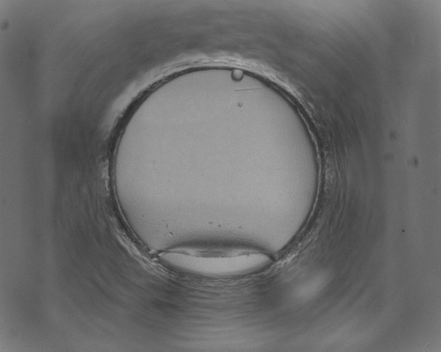 X0000072991503200608211502