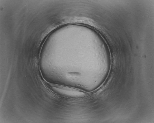 X0000072991505200608211502