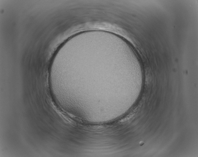 X0000072991507200608211503