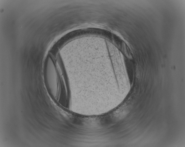 X0000072991508200608211503