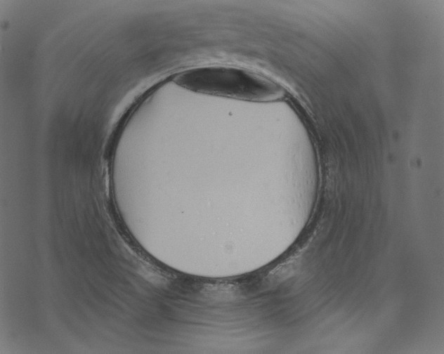 X0000072991509200608211503