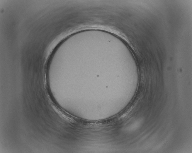 X0000072991511200608211503